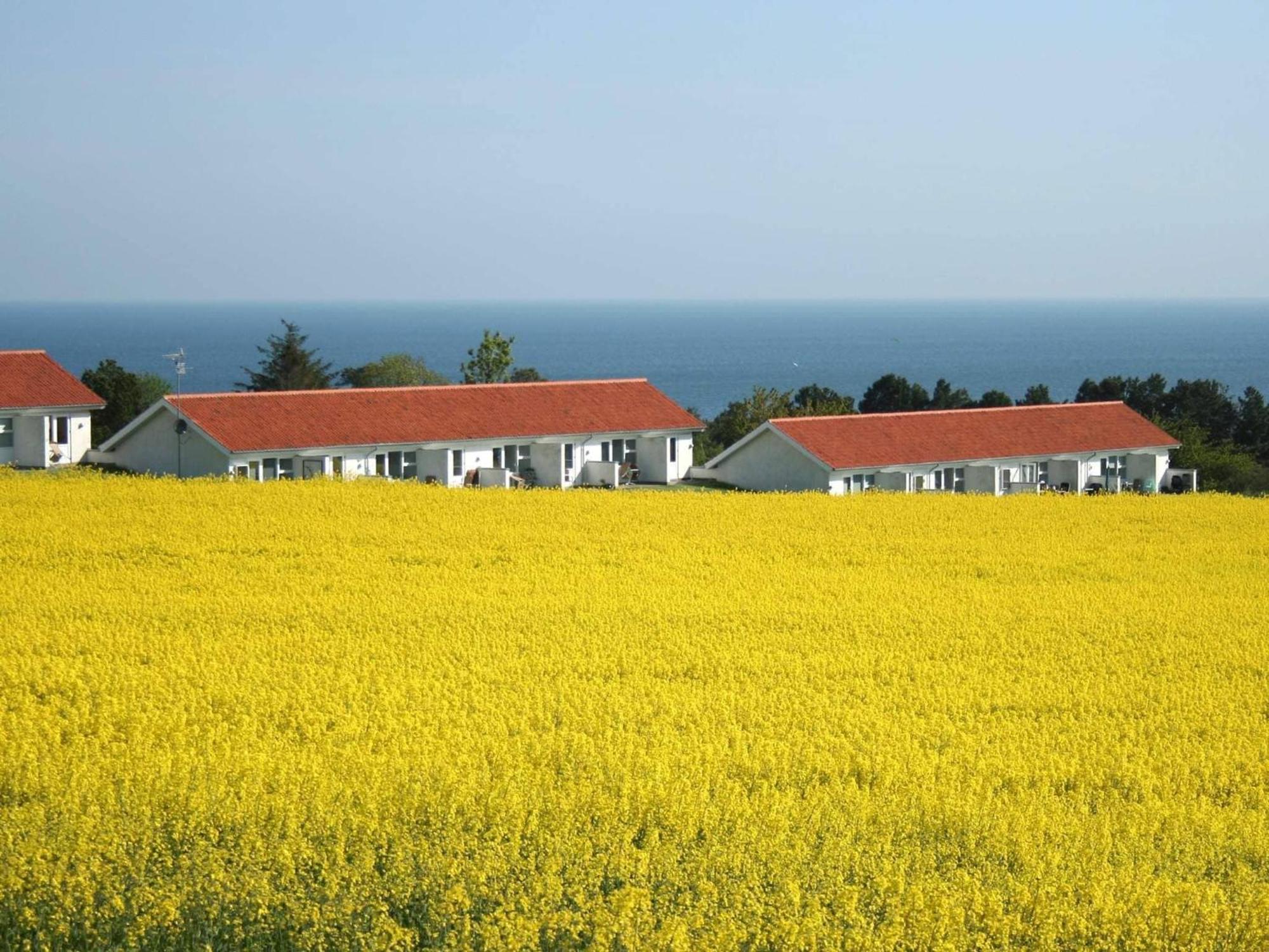 2 Person Holiday Home In Allinge Exterior photo